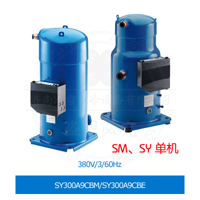 SY300A9CBM/SY300A9CBE